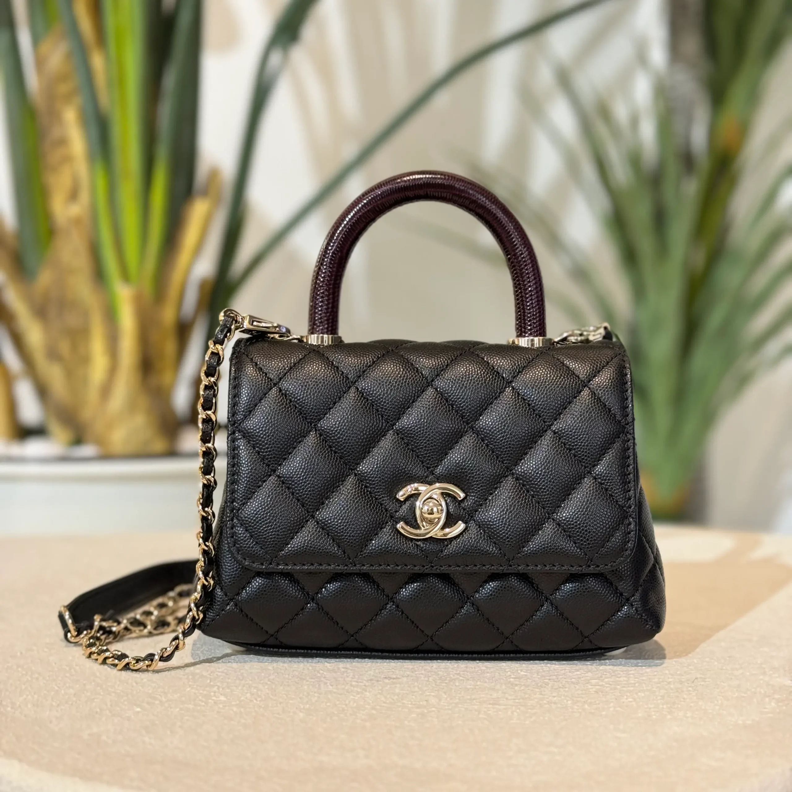 ميني كوكو هاندل - Image 2