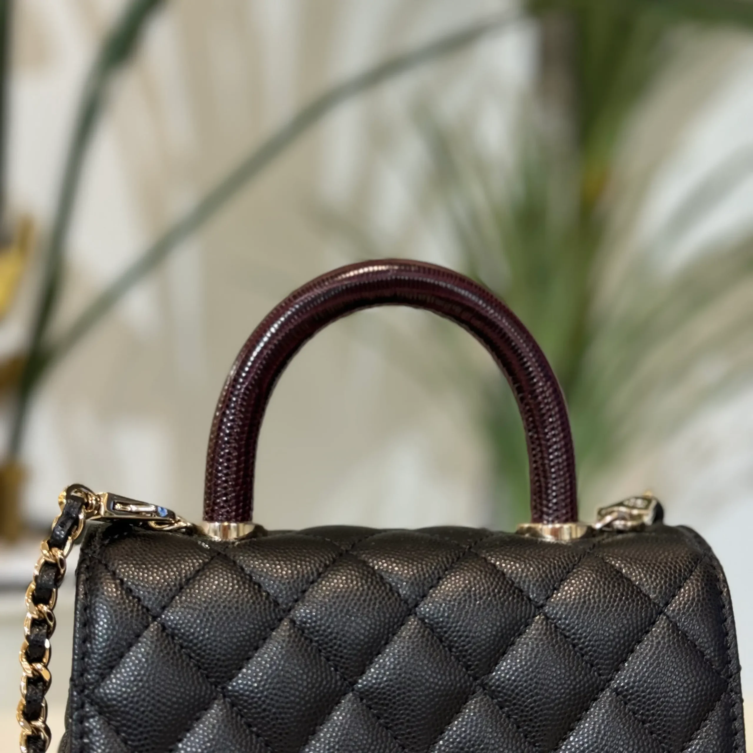 ميني كوكو هاندل - Image 4