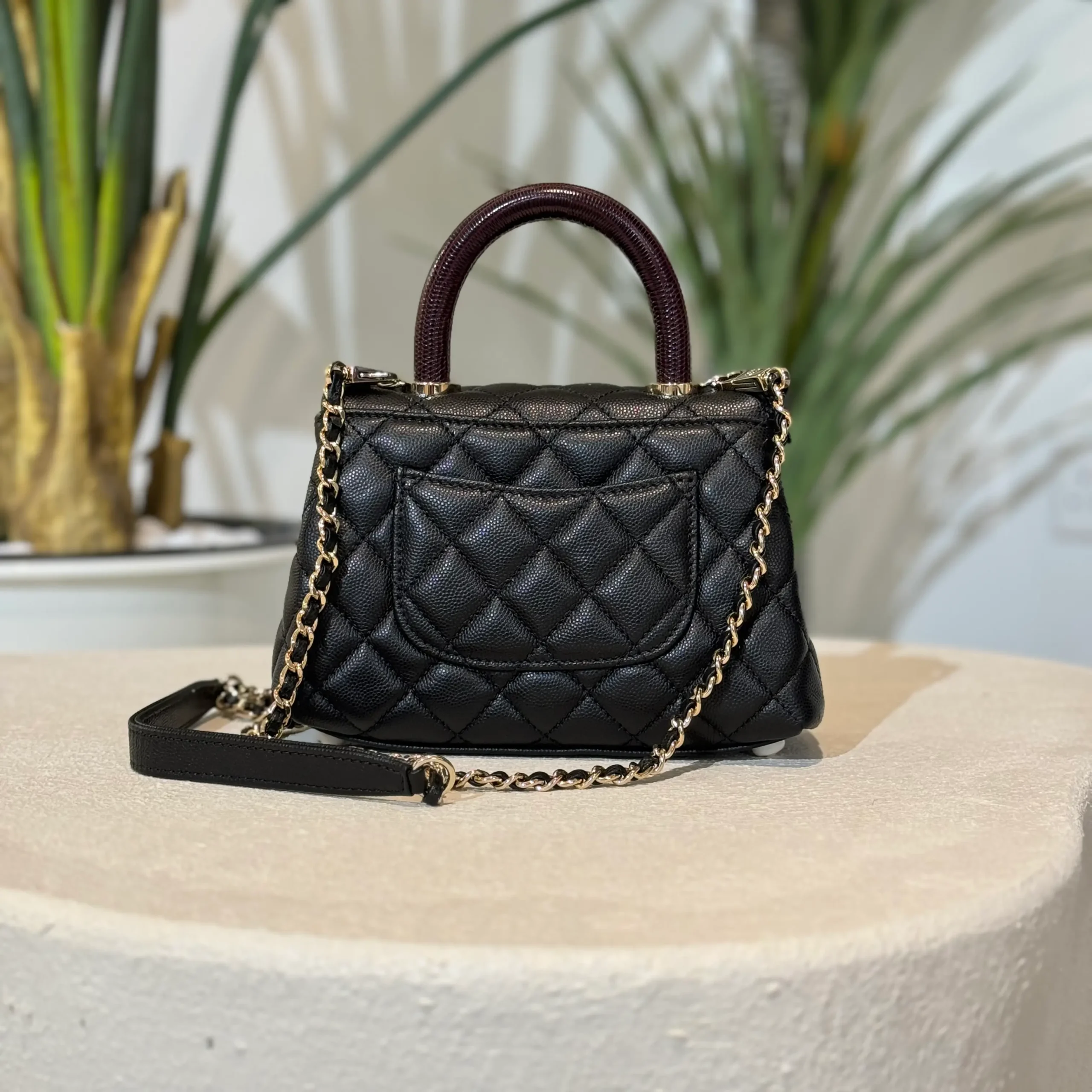 ميني كوكو هاندل - Image 10