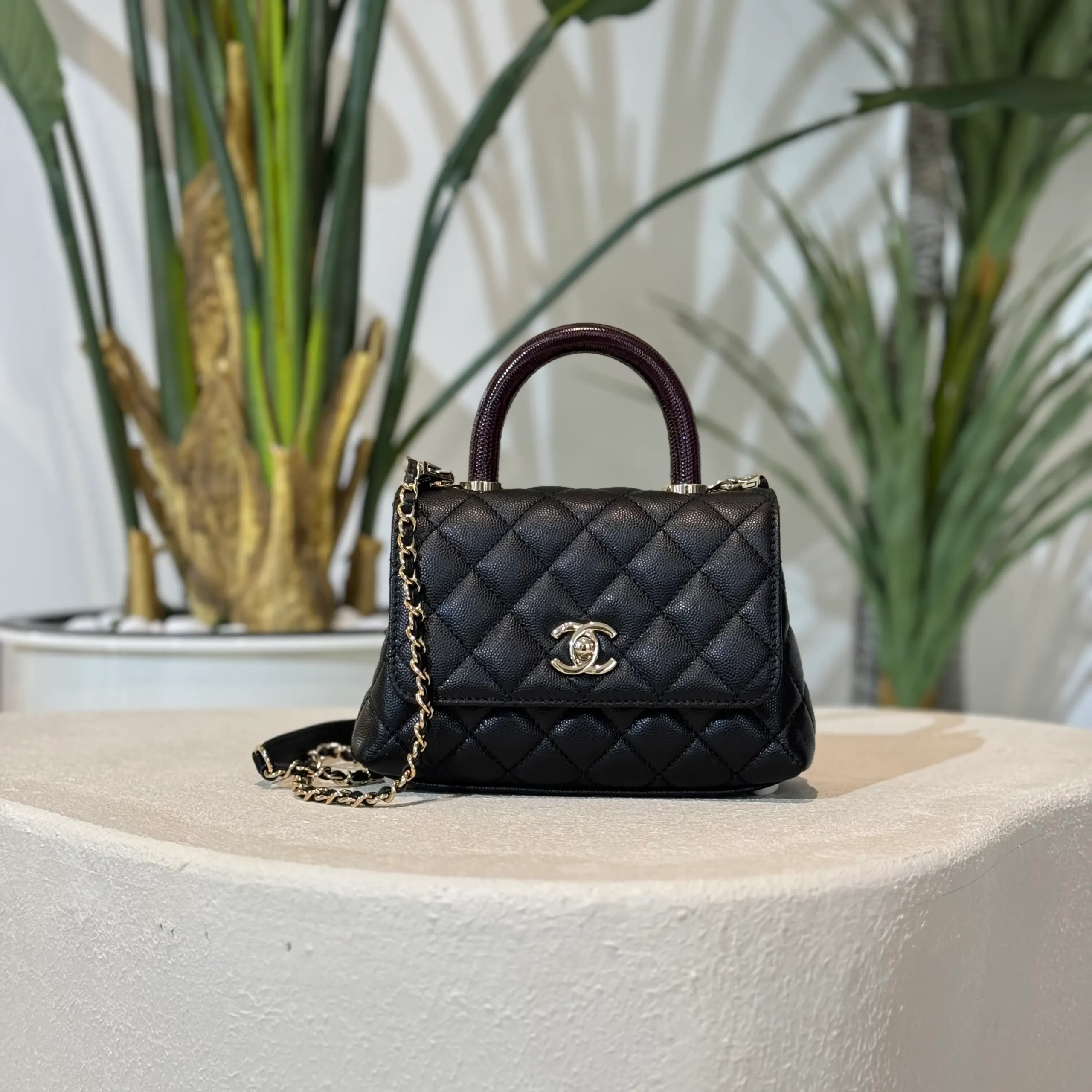 ميني كوكو هاندل