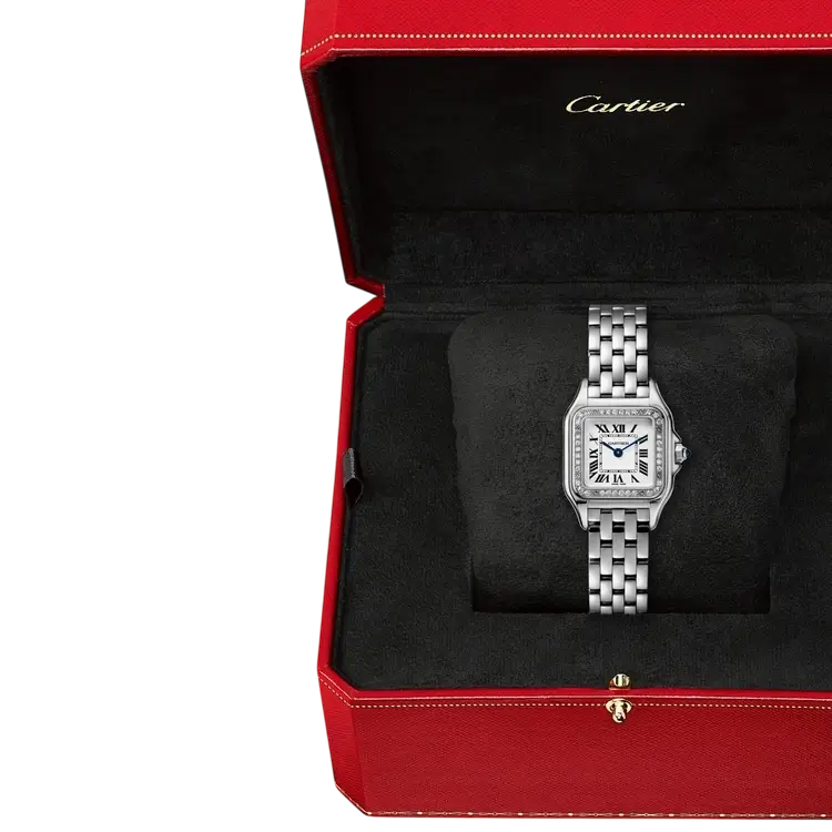 22mm سمول بانثر