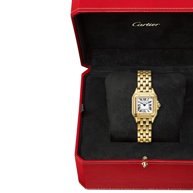 22mm سمول بانثر